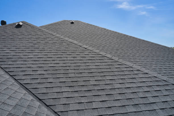 Best Roof Maintenance and Cleaning  in Daytona Beach Shores, FL