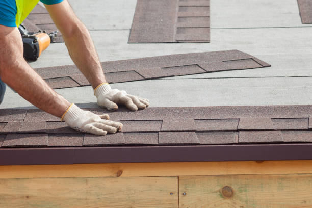 Best Asphalt Shingle Roofing  in Daytona Beach Shores, FL